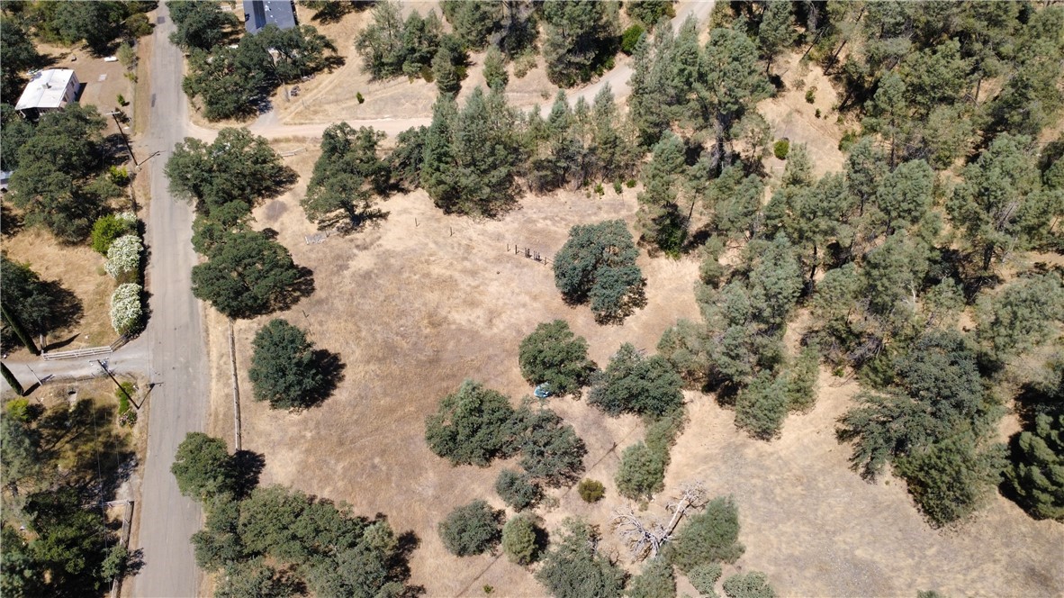16562 Stagecoach Property Photo 6