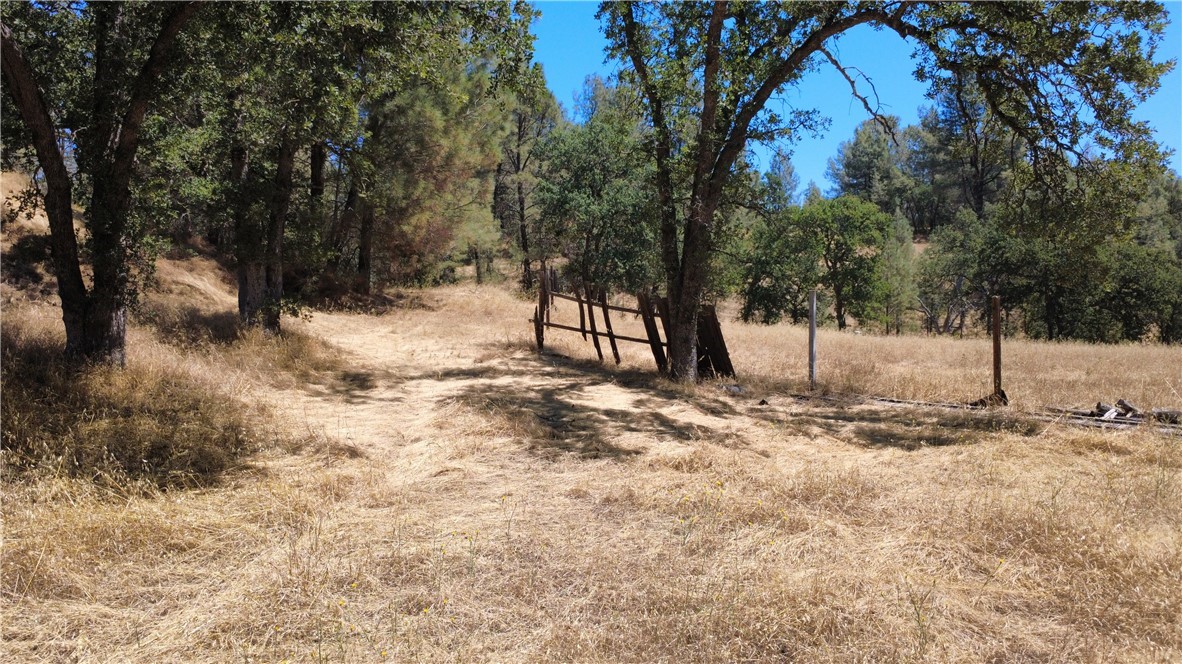 16562 Stagecoach Property Photo 10