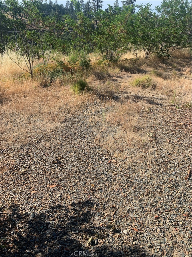 1797 Stearns Road Property Photo 1