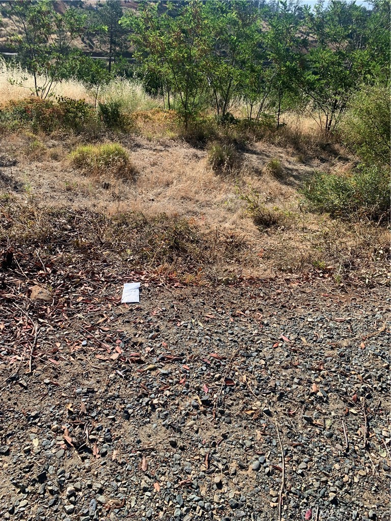 1797 Stearns Road Property Photo 2