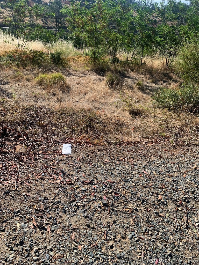 1797 Stearns Road Property Photo 4