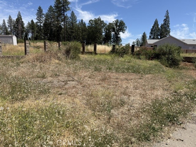 14249 Sherwood Property Photo 3