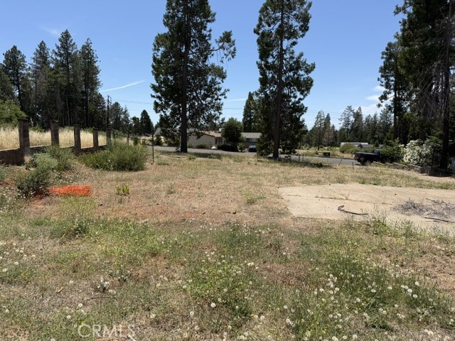 14249 Sherwood Property Photo 4