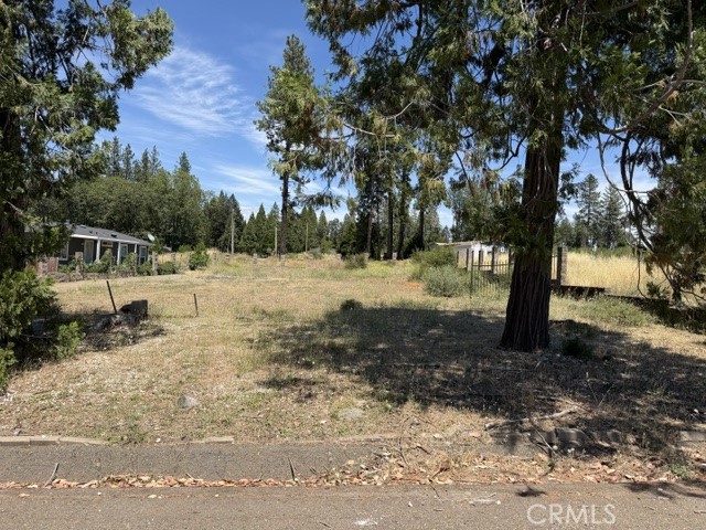 14249 Sherwood Property Photo 6
