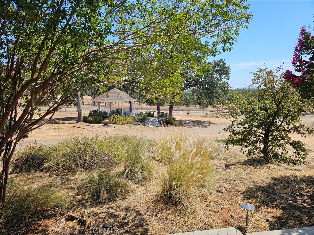 4995 Durham Pentz Road Property Photo 8