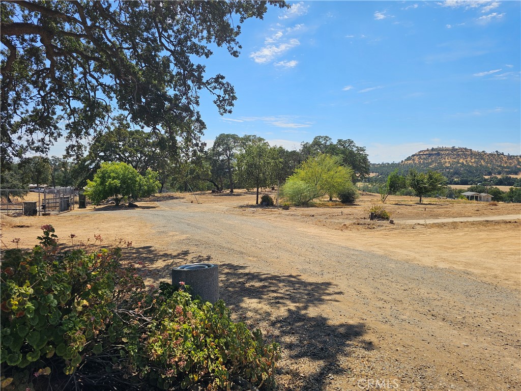 4995 Durham Pentz Road Property Photo 19