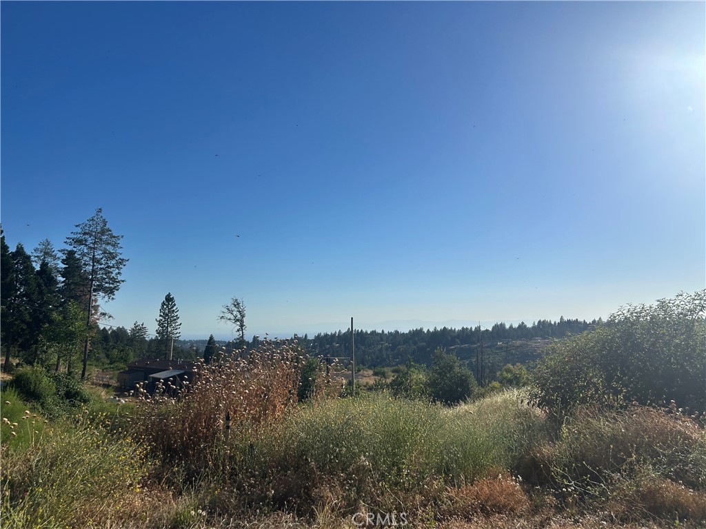13753 Sugar Pine Property Photo 1