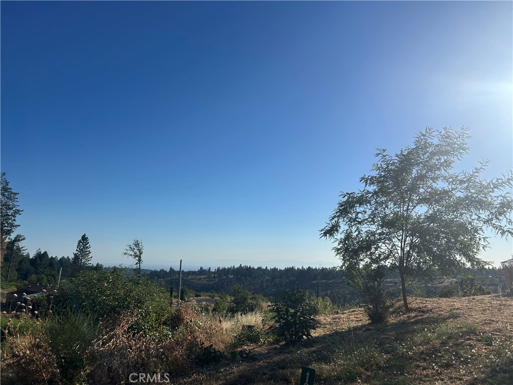 13753 Sugar Pine Property Photo 2