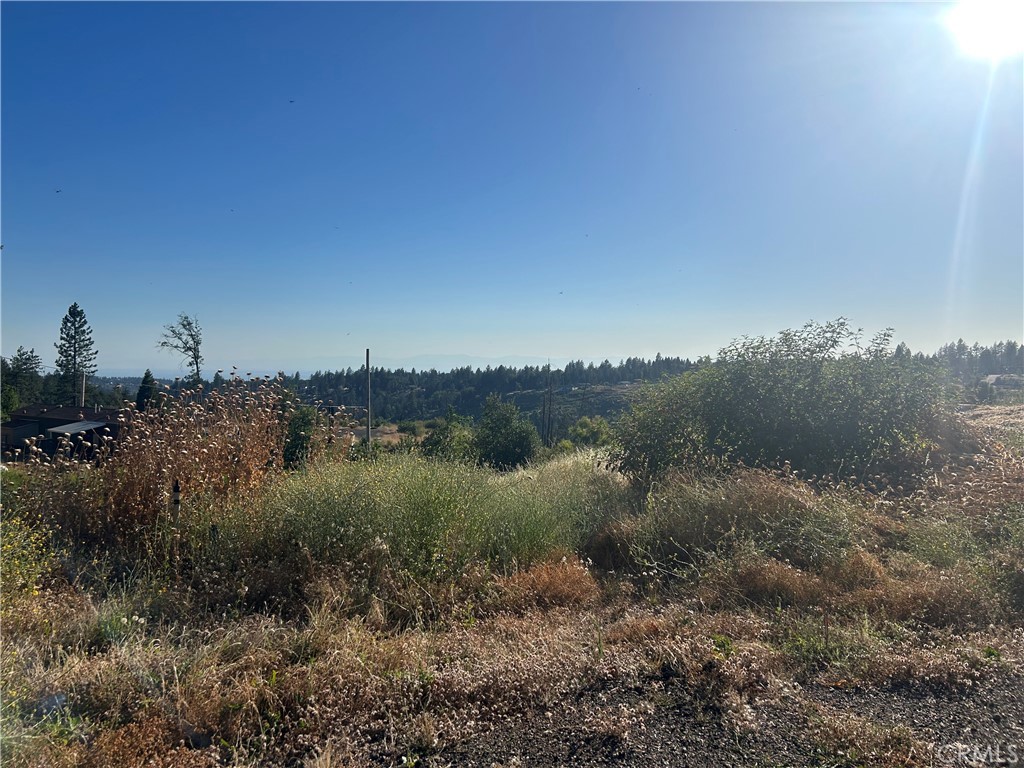 13753 Sugar Pine Property Photo 3
