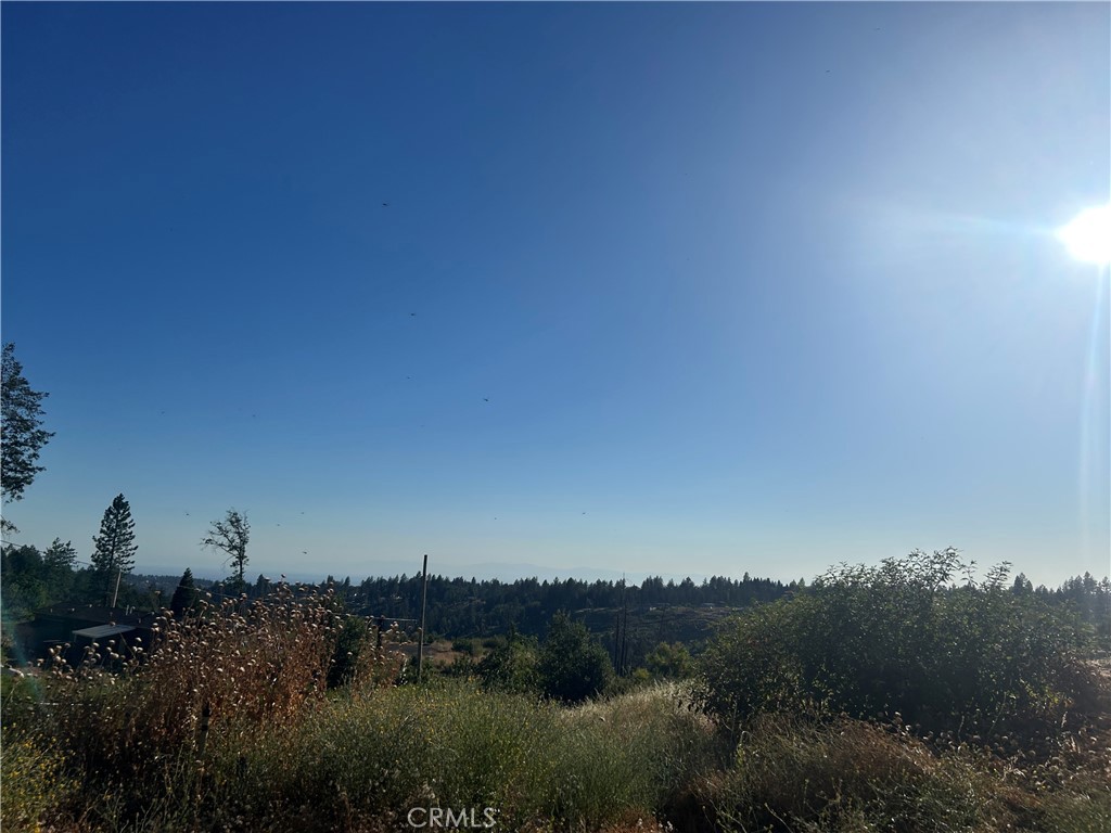 13753 Sugar Pine Property Photo 4