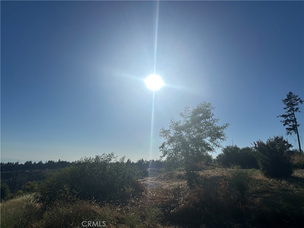 13753 Sugar Pine Property Photo 5