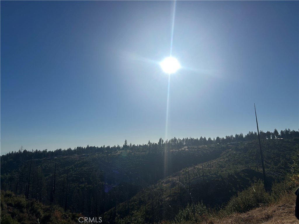 13753 Sugar Pine Property Photo 6