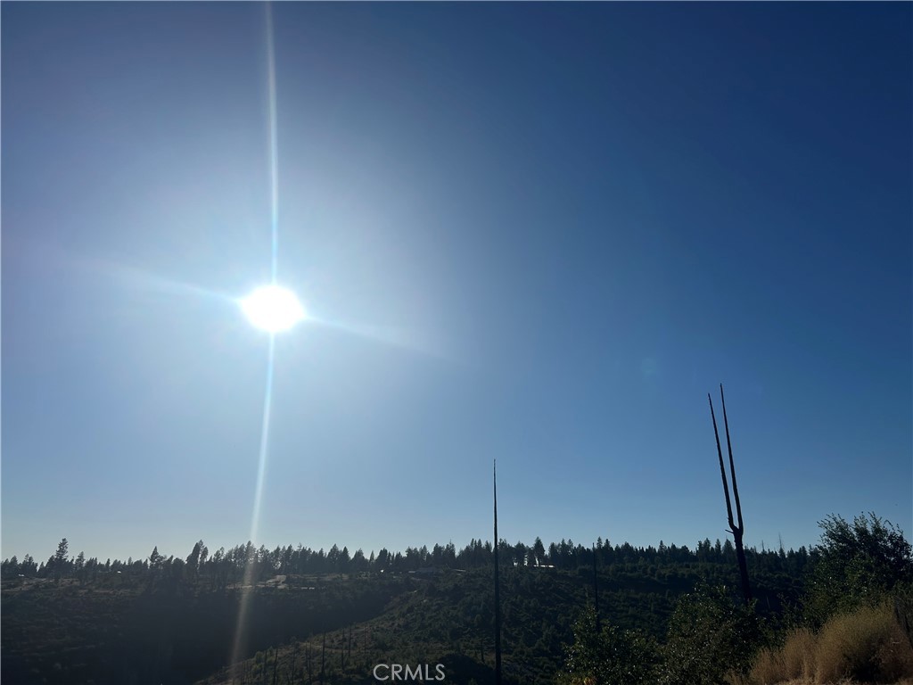 13753 Sugar Pine Property Photo 7