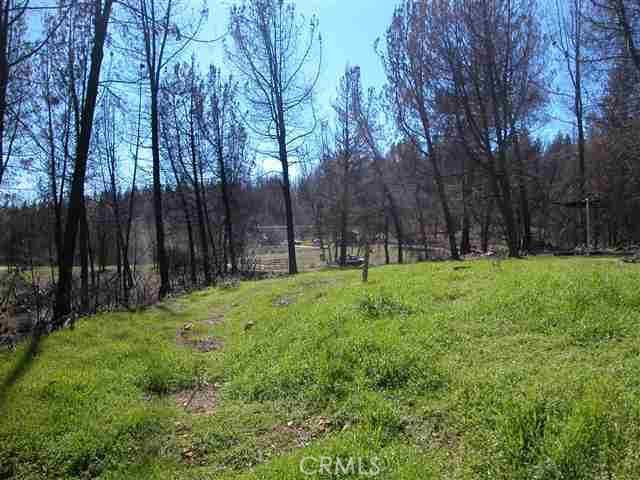0 Buchner Property Photo 1