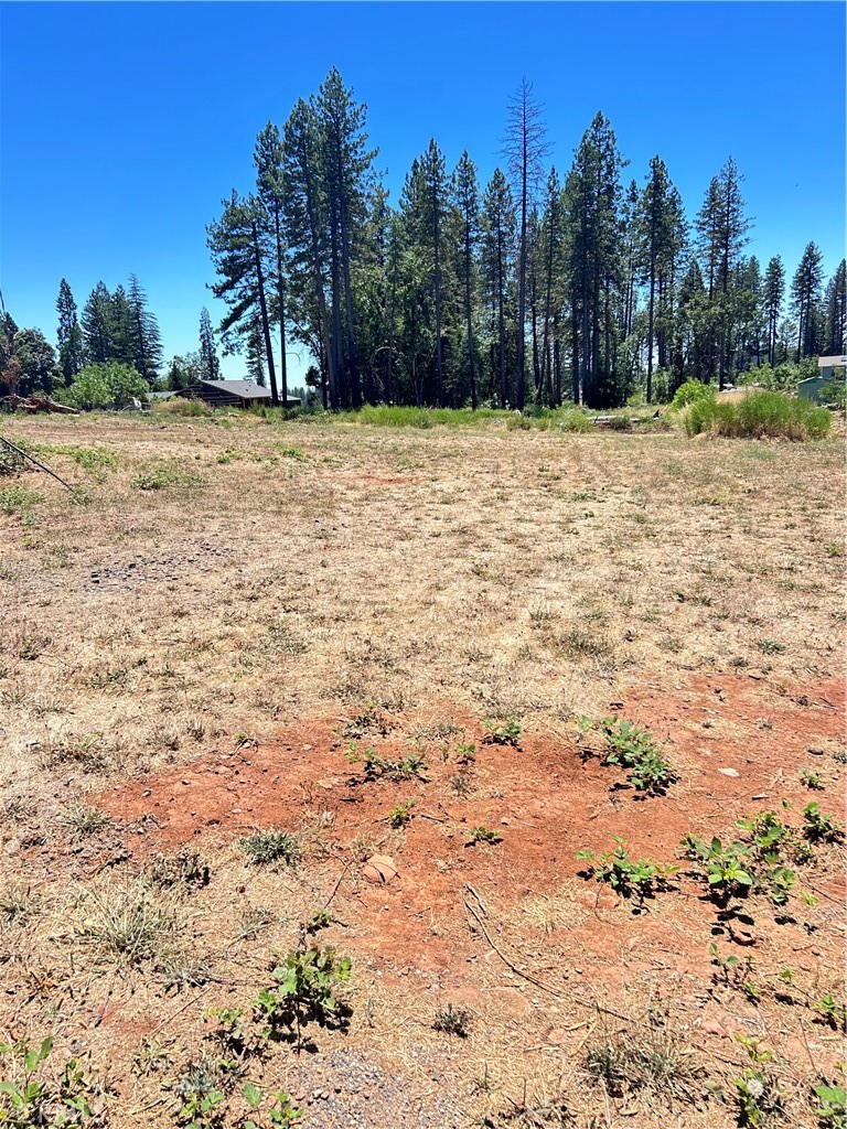 1540 Warren Property Photo 1