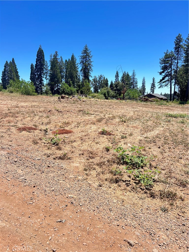1540 Warren Property Photo 3