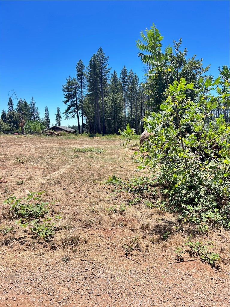 1540 Warren Property Photo 4