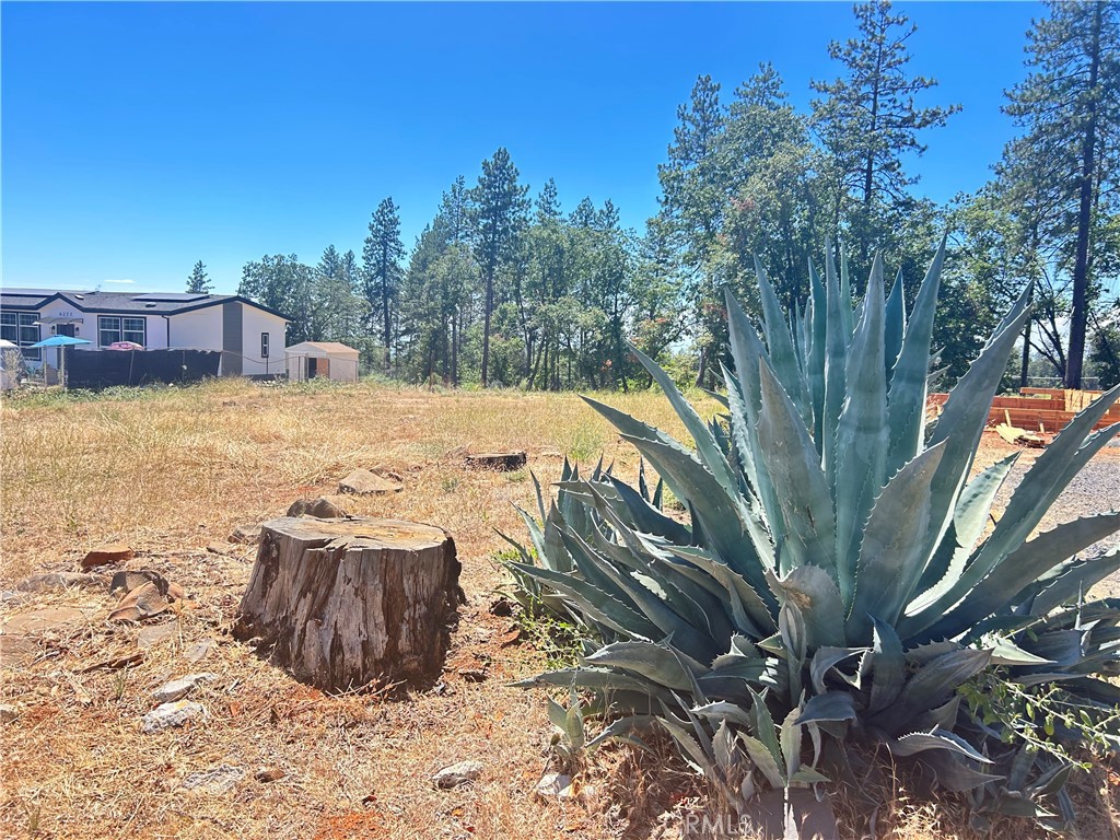 6281 Diamond Property Photo 1