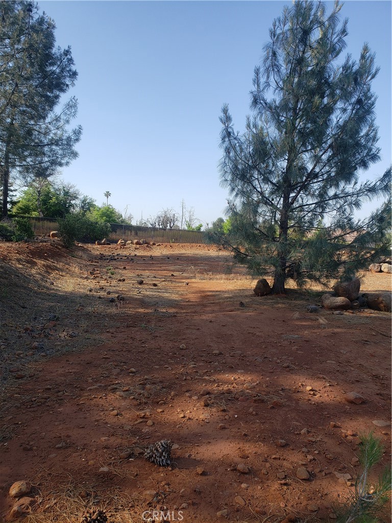 4554 Sierra Del Sol Property Photo 7