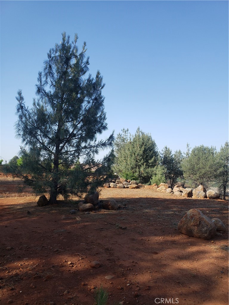 4554 Sierra Del Sol Property Photo 10
