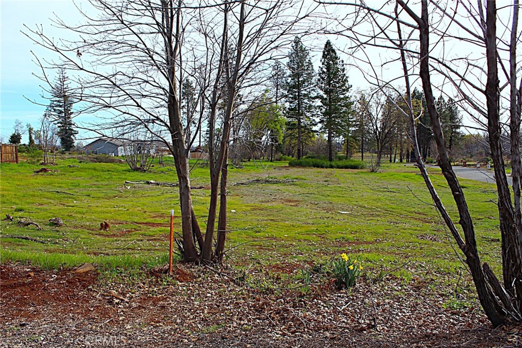 0 Summerwood Property Photo 4
