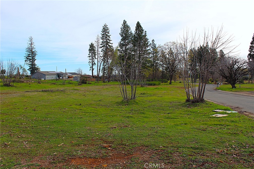 0 Summerwood Property Photo 6