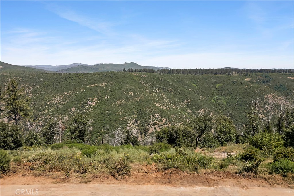 5693 Feather River Place Property Photo 42