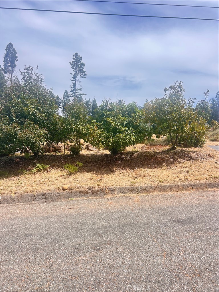 13837 Ferguson Property Photo 1