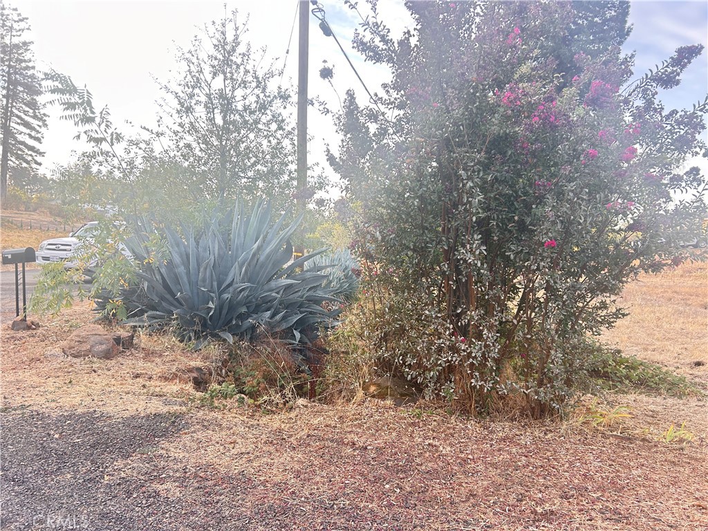 5821 Deerpark Lane Property Photo 8