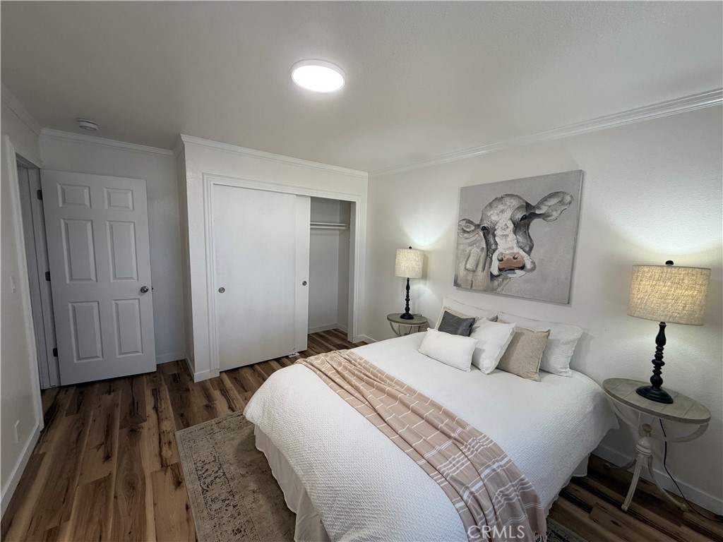 454 Trent Property Photo 13