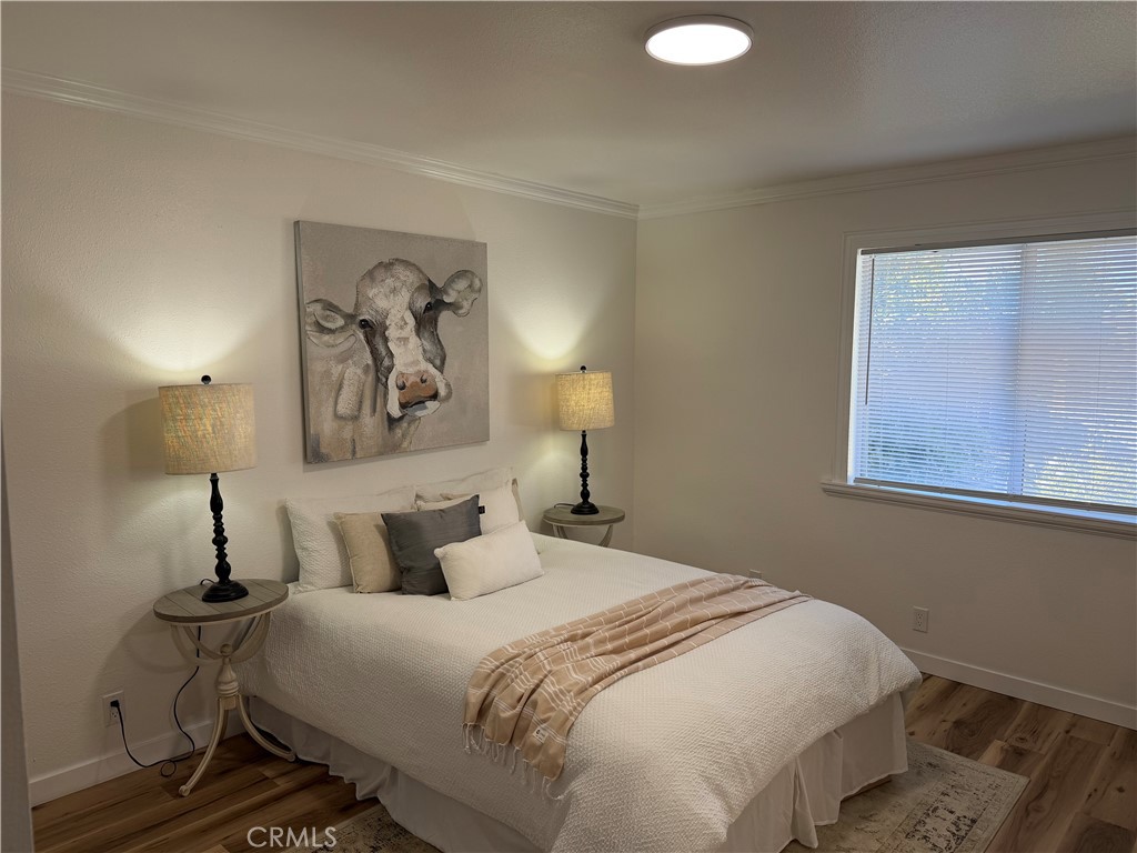 454 Trent Property Photo 14