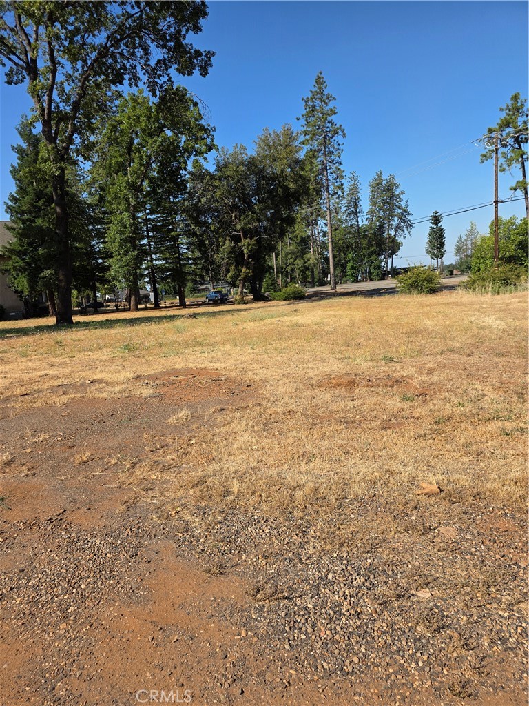 1906 Feather River Property Photo 1