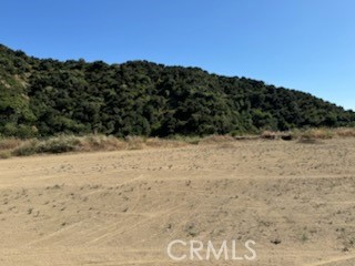 0 Whitehall Property Photo 13