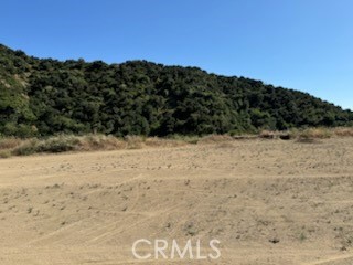 0 Whitehall Property Photo 13