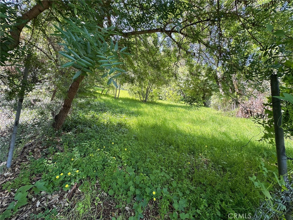 801 Rollin Street Property Photo