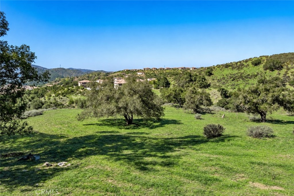 16220 Canyon Hills Road Property Photo 3