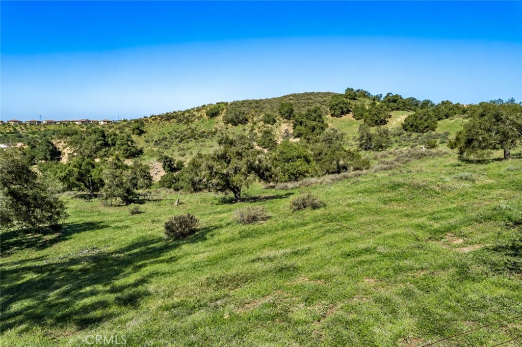 16220 Canyon Hills Road Property Photo 4