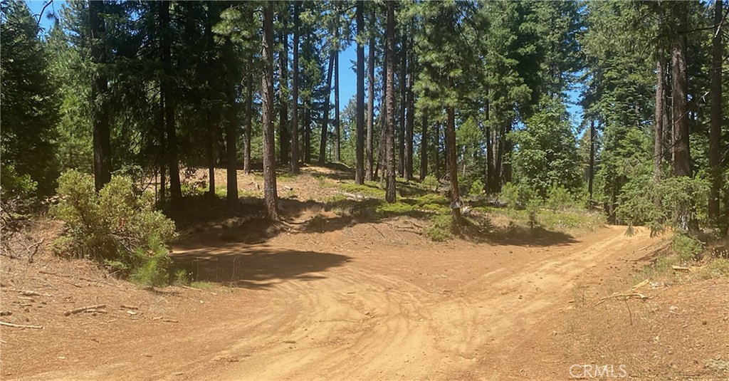 15052 Red Hill Spring Road Property Photo 1