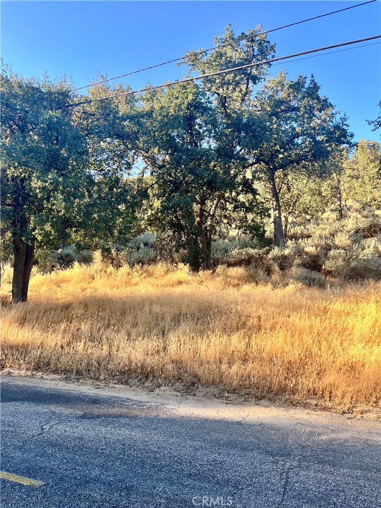 Alpine Forest Real Estate Listings Main Image