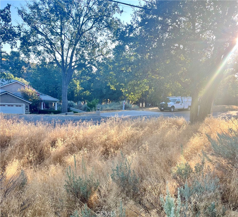 0 Alps Drive Property Photo 3