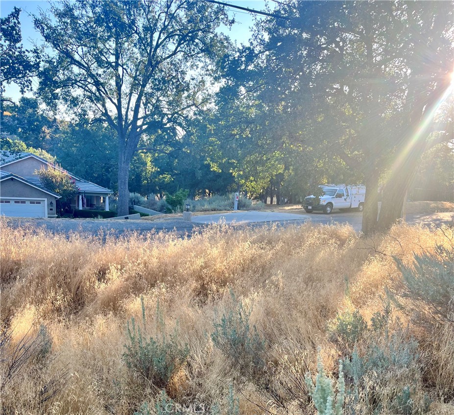 0 Alps Drive Property Photo 3