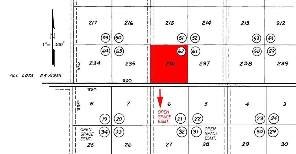 11931 Concord Trail Property Photo 4