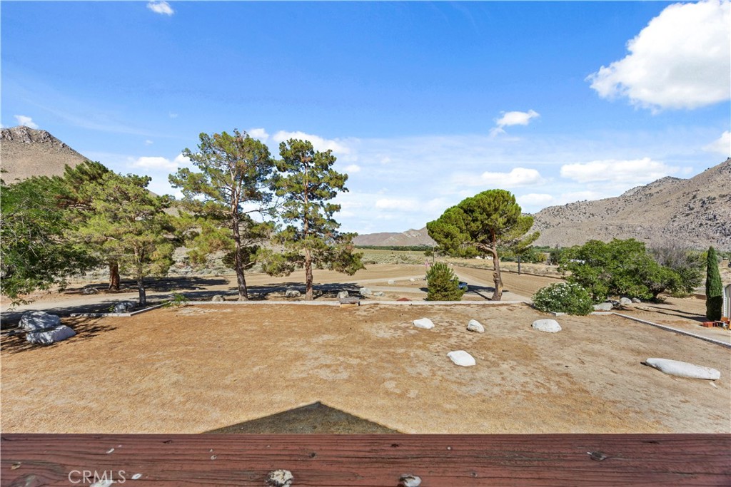 7736 Easy Street Property Photo 44