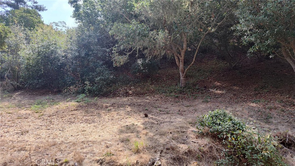 3236 Gleason Street Property Photo 5