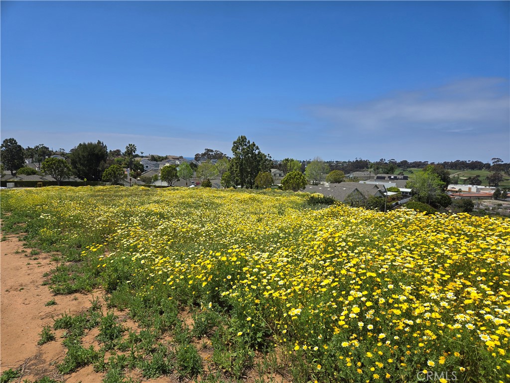 0 Sunny Creek Property Photo 1