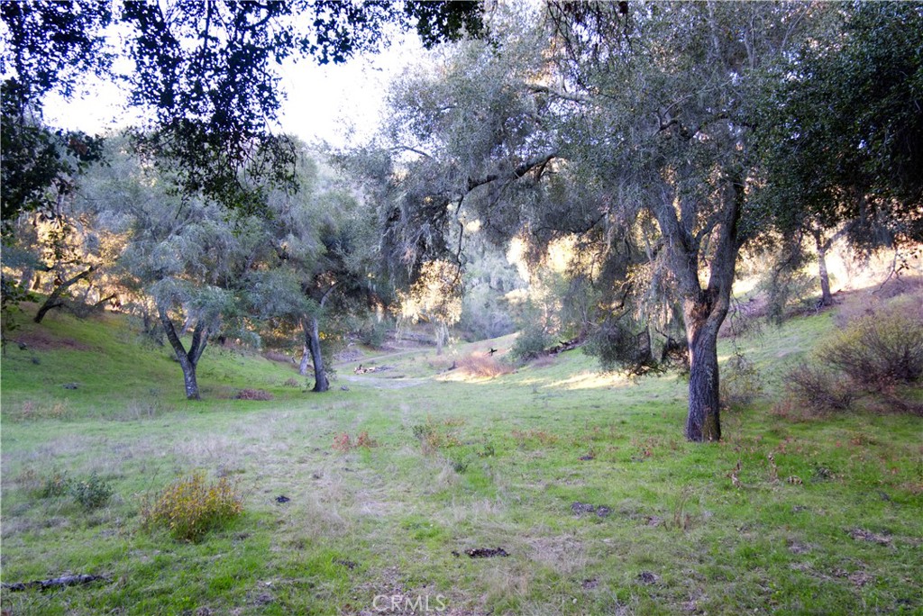 0 Huasna Road Property Photo 15