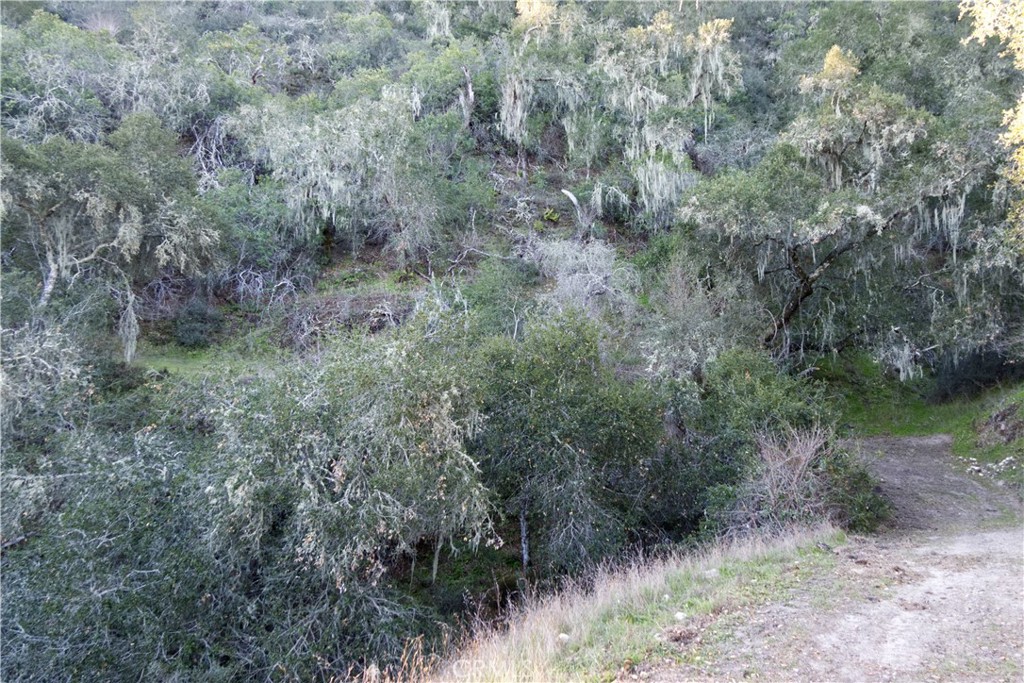 0 Huasna Road Property Photo 18