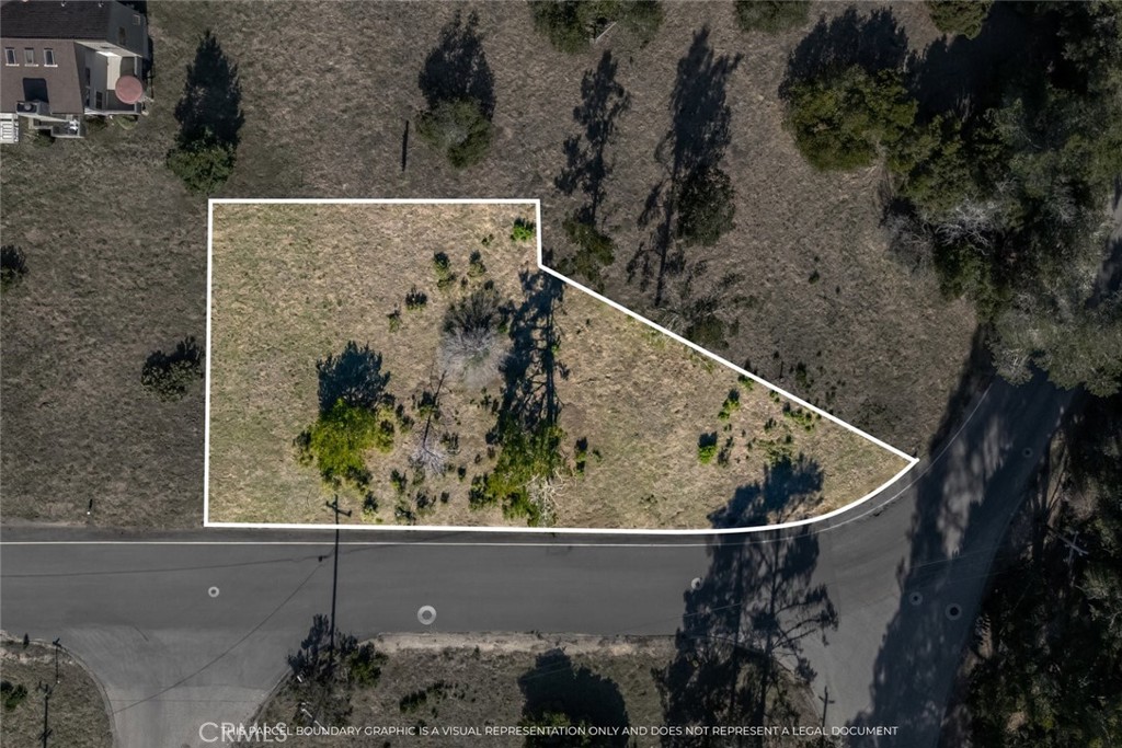 0 Pickwick Lane Property Photo 1