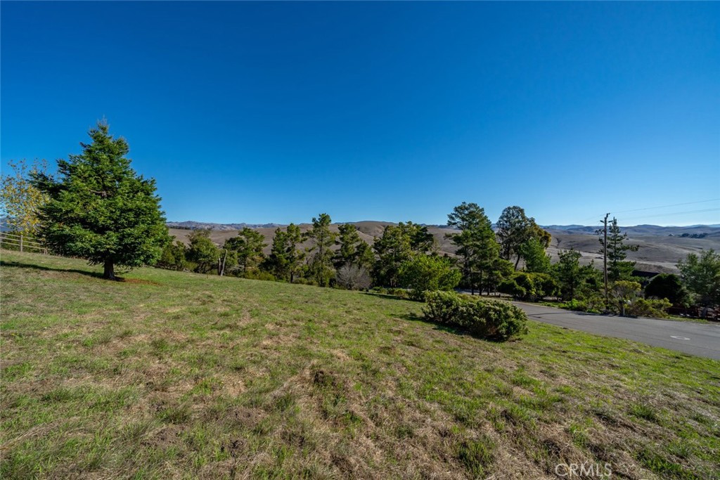 0 Pickwick Lane Property Photo 4