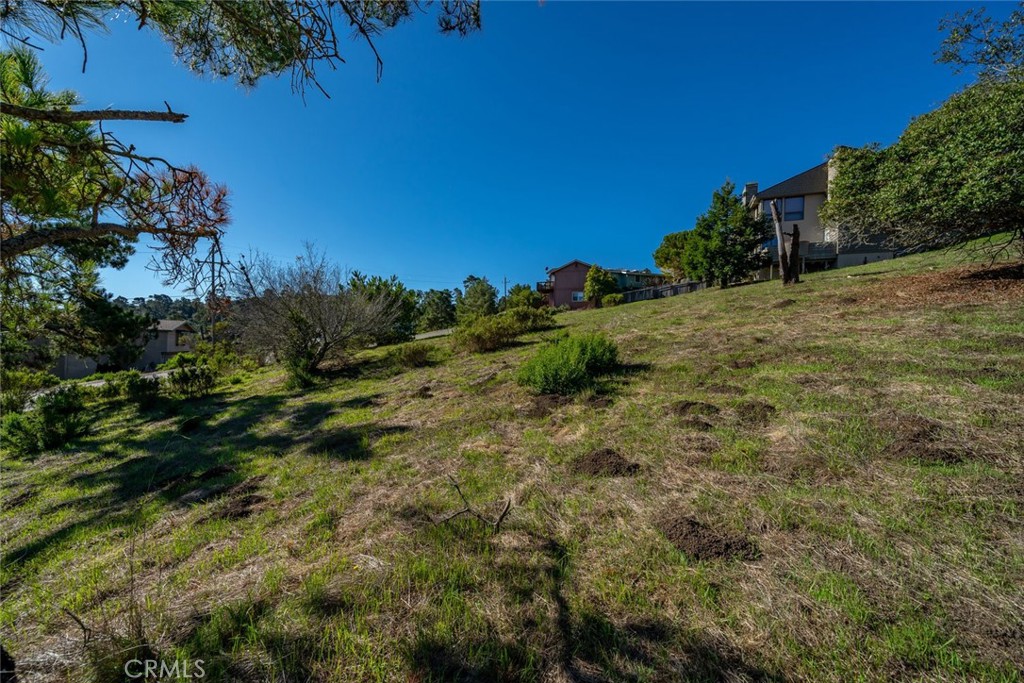 0 Pickwick Lane Property Photo 6